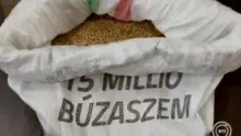 Elindult az idei Magyarok kenyere búzagyűjtés: Hangony a vármegyei házigazda
