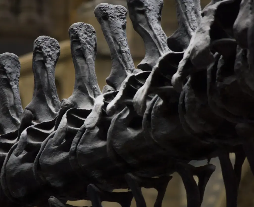 Apró lyukak a dinoszauruszcsontokon: 70 millió éves titok derült ki