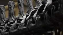 Apró lyukak a dinoszauruszcsontokon: 70 millió éves titok derült ki