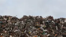 Kevesebb élelmiszert dobunk ki a szemétbe