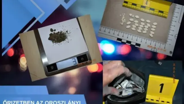 Oroszlányi dílert iktattak ki