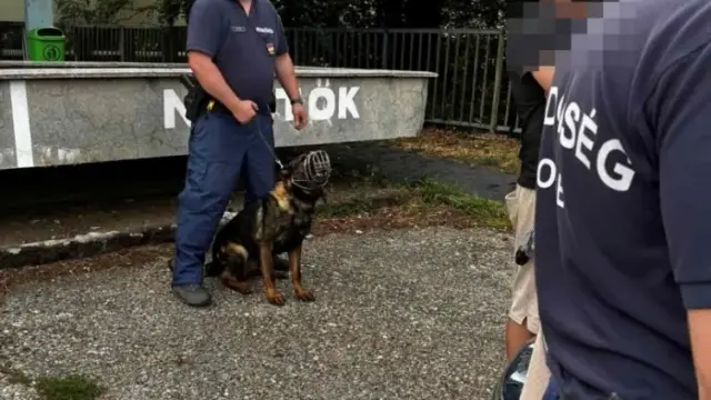 Összehangolt közrendvédelmi akció Szombathelyen