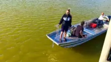 Pánikba esett a Velencei-tó közepén