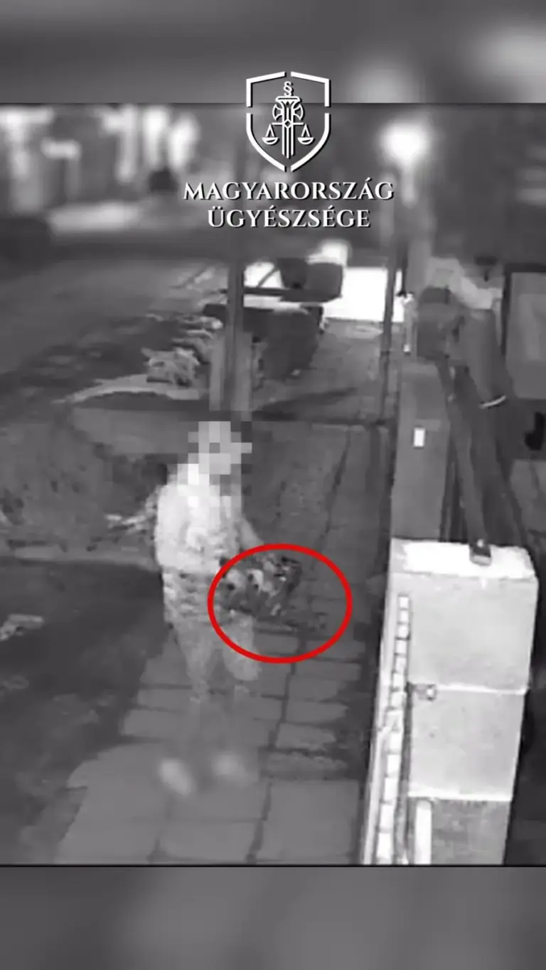 Láncfűrésszel követelte gyermeke átadását egy férfi Szegeden