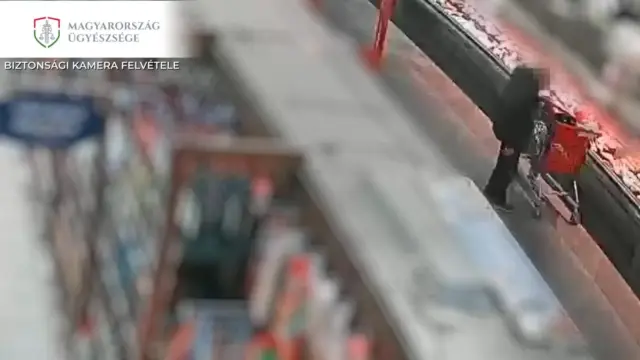 Őrizetlenül hagyott táskákból lopott
