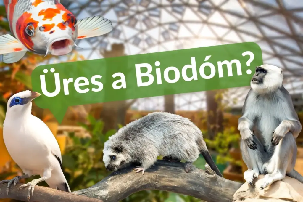 Üres a Biodóm? Tisztázta a félreértéseket a Fővárosi Állat- és Növénykert