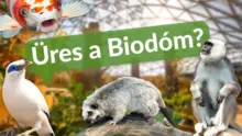 Üres a Biodóm? Tisztázta a félreértéseket a Fővárosi Állat- és Növénykert