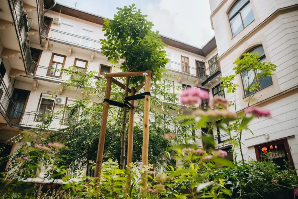 Rekordösszeggel folytatódik az Égig Érő Fű udvarzöldítési program Budapesten