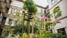 Rekordösszeggel folytatódik az Égig Érő Fű udvarzöldítési program Budapesten