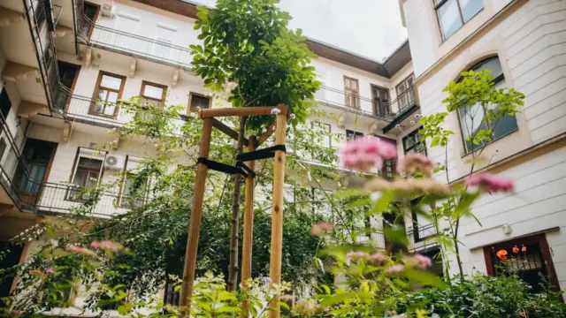Rekordösszeggel folytatódik az Égig Érő Fű udvarzöldítési program Budapesten