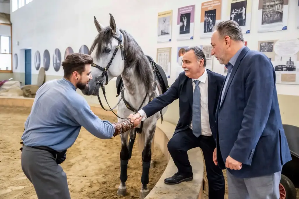 Szigorítják a cirkuszi állatok tartását: vadállatok szerepeltetését tiltanák Magyarországon