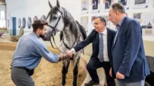 Szigorítják a cirkuszi állatok tartását: vadállatok szerepeltetését tiltanák Magyarországon
