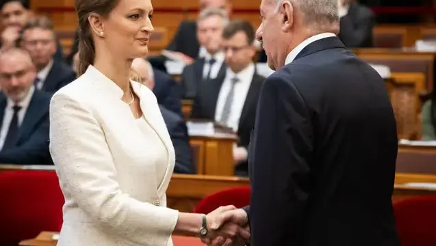 Sulyok Tamás mandátuma megszűnik, átmeneti elnöki feladatok jönnek