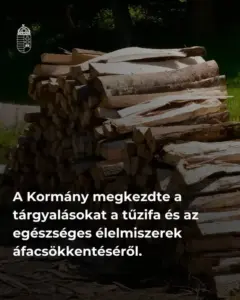 Áfacsökkentés jöhet a tűzifánál és az egészséges élelmiszereknél