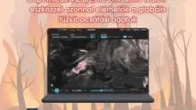 Új interaktív alkalmazással követhető nyomon a globális erdőtüzek füstje