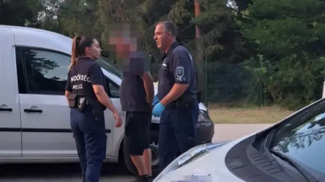 Bokorban rejtőzött a betörő