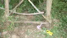 Őrizetben szexuális erőszak és kifosztás miatt