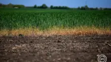 Módosulnak a mezőgazdasági kárenyhítés szabályai: jön az előlegfizetés