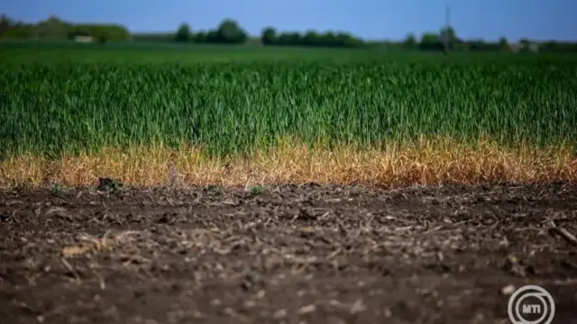 Módosulnak a mezőgazdasági kárenyhítés szabályai: jön az előlegfizetés