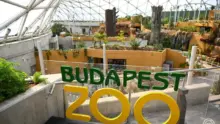 Megnyitotta kapuit a budapesti Biodóm: városi oázis a főváros szívében