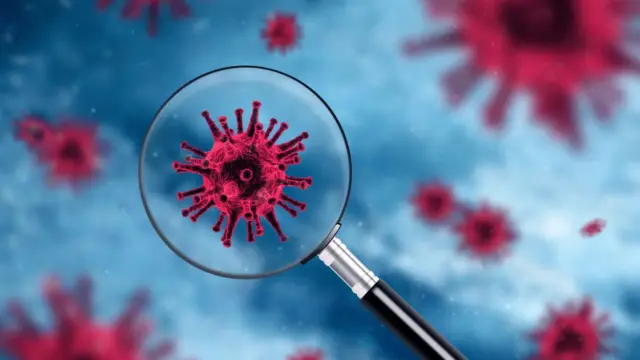 Új membránlipid-terápiát fejlesztenek a Debreceni Egyetemen a vírusok ellen