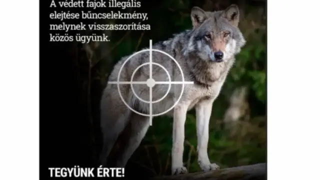 Védett állatfajok védelme érdekében