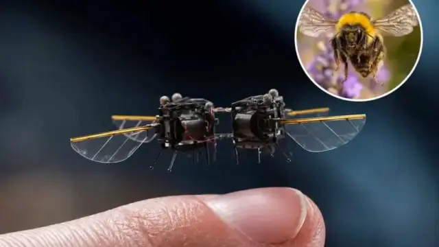A MIT kutatói egy méhecske mozgását utánzó, apró repülő robotot fejlesztettek ki