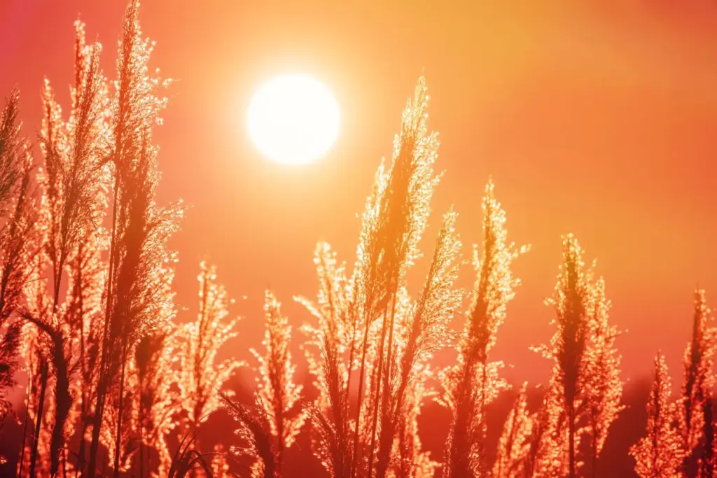 hőségriasztás, heatwave