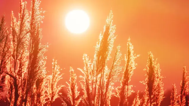 hőségriasztás, heatwave