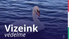 Egyeztetést kezdeményez a Molnár-sziget és a Ráckevei–Soroksári-Duna-ág ügyében Tarr Zoltán