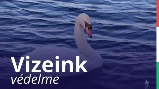 Egyeztetést kezdeményez a Molnár-sziget és a Ráckevei–Soroksári-Duna-ág ügyében Tarr Zoltán