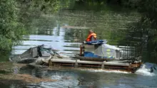 Eltávolították a szennyező anyagot a Fekete-Körösről