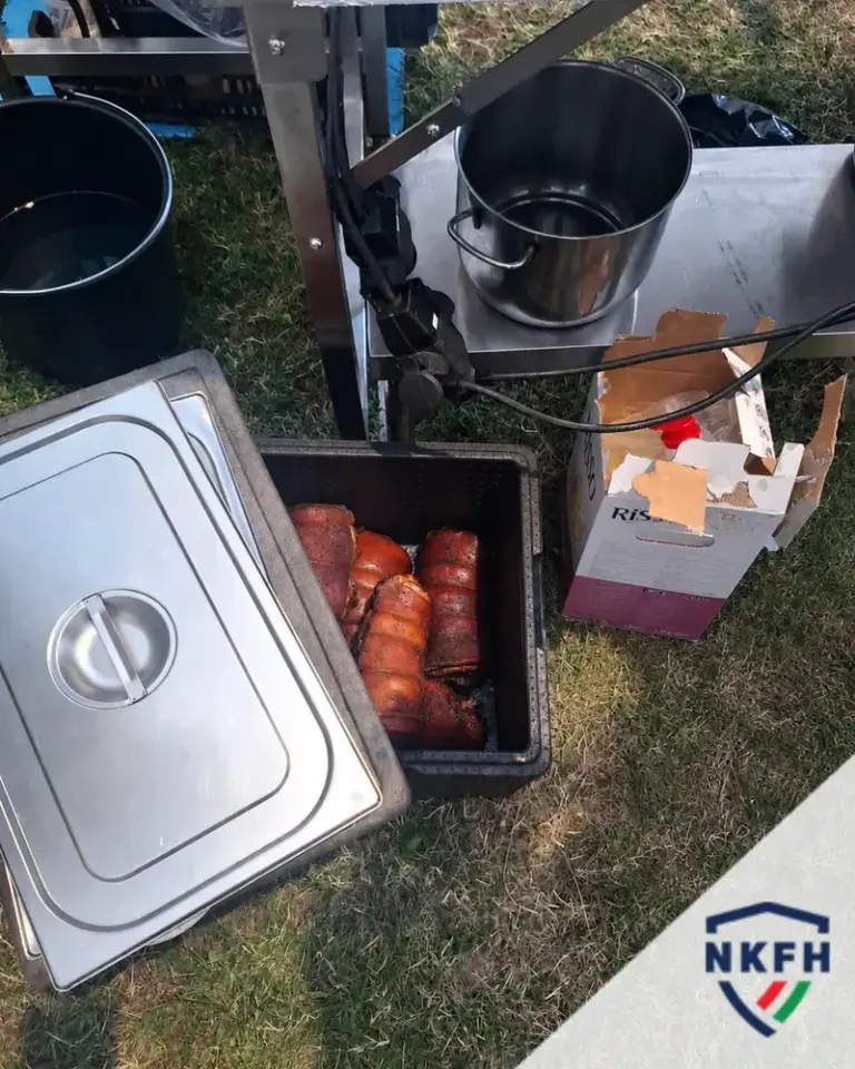 Súlyos higiéniai hiányosságok a nyári vendéglátóhelyeken