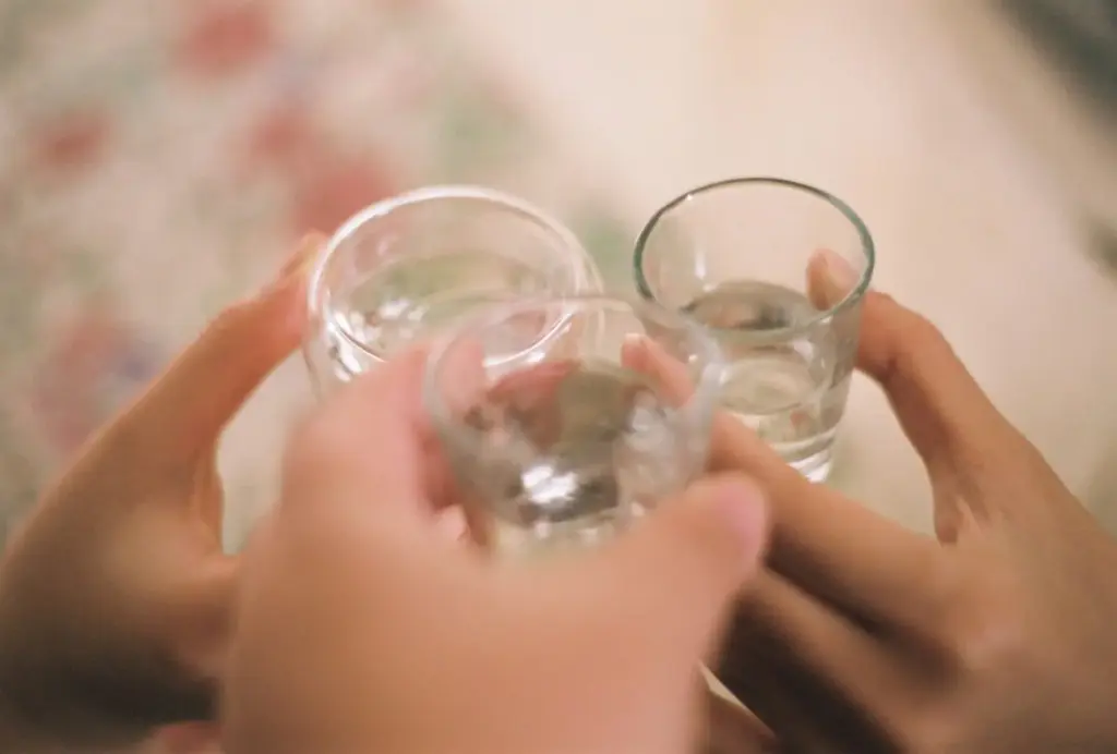 A magas funkciójú alkoholizmus jelei: így ismerhető fel a rejtett függőség