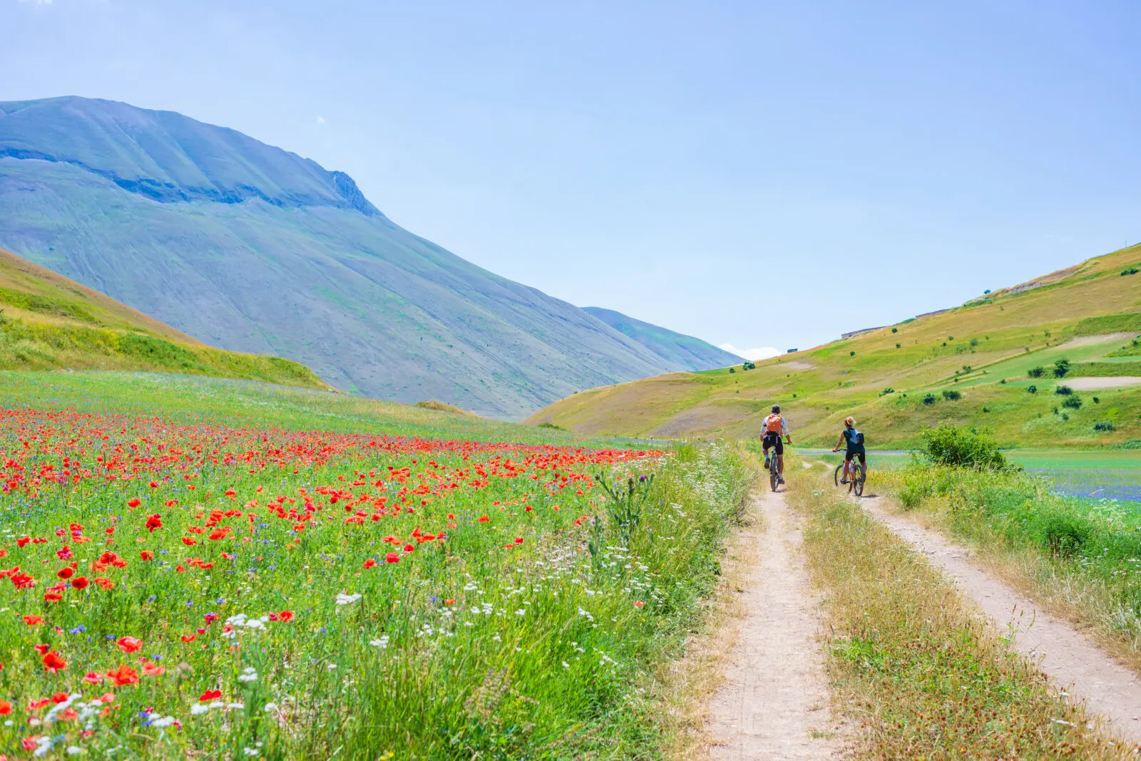 Castelluccio di Norcia: A lencsevirágzás csodája Umbria szívében
