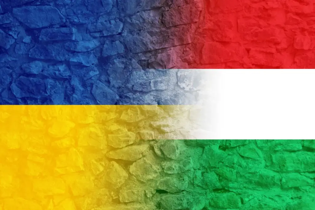 Ungváron egyeztetett a magyar és az ukrán alapjogi biztos