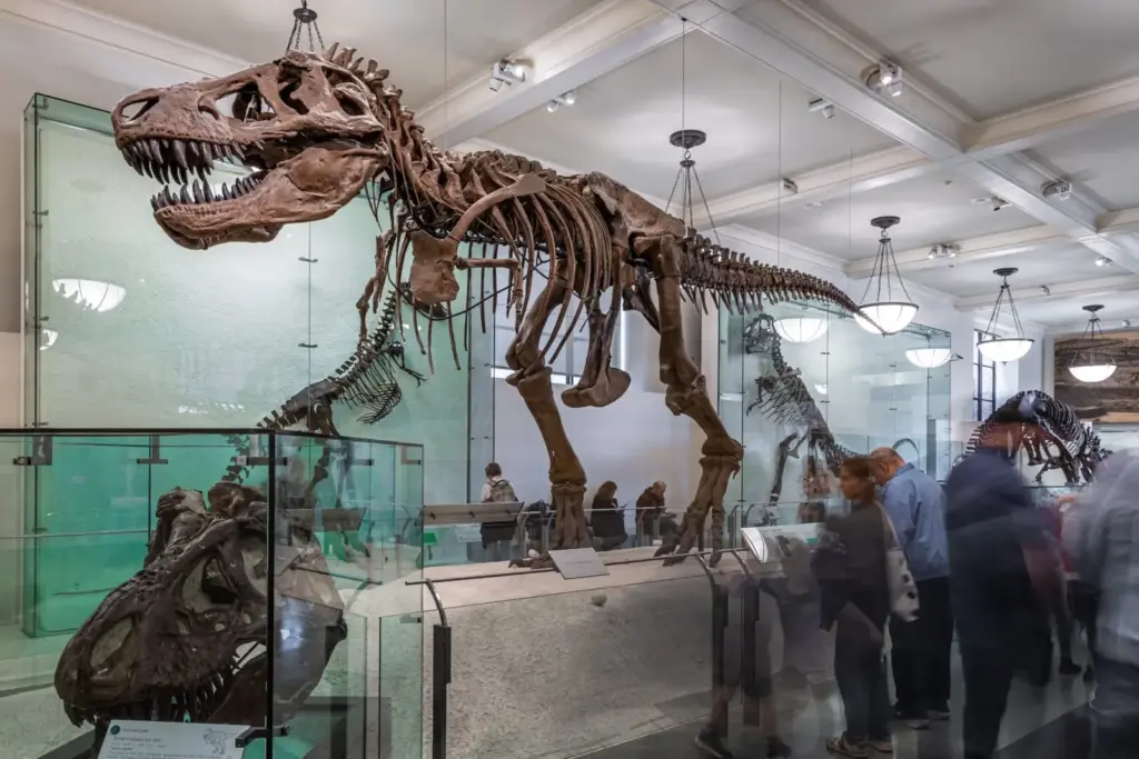 Gus, a T. rex, amely rekordot dönthet az aukción