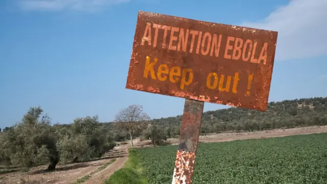 Klinikai vizsgálat indult a Kongói Demokratikus Köztársaságban az Ebola ellen
