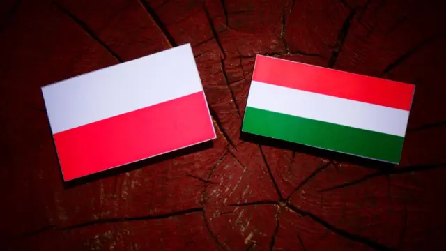 Magyarország megvonta a politikai menedékjogot a lengyel ellenzéki politikusoktól