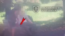 Gyorsított eljárásban ítélték el a soroksári tolvajt