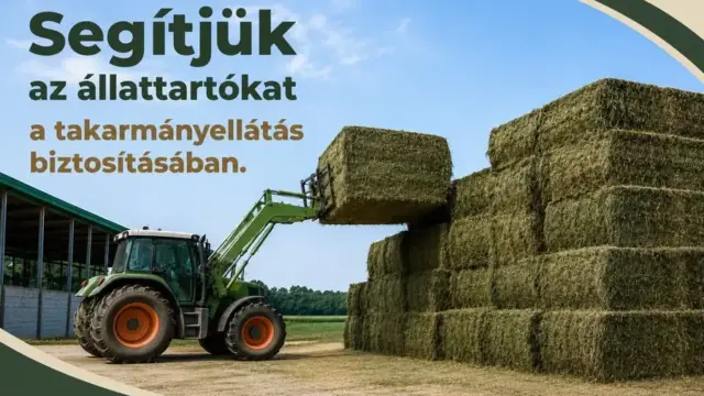 Külföldi szénabeszerzési lehetőségekkel segítik az aszály sújtotta állattartókat