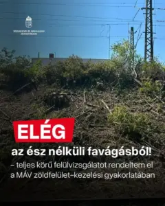 Főtájépítészt nevez ki a MÁV a zuglói fakivágások után
