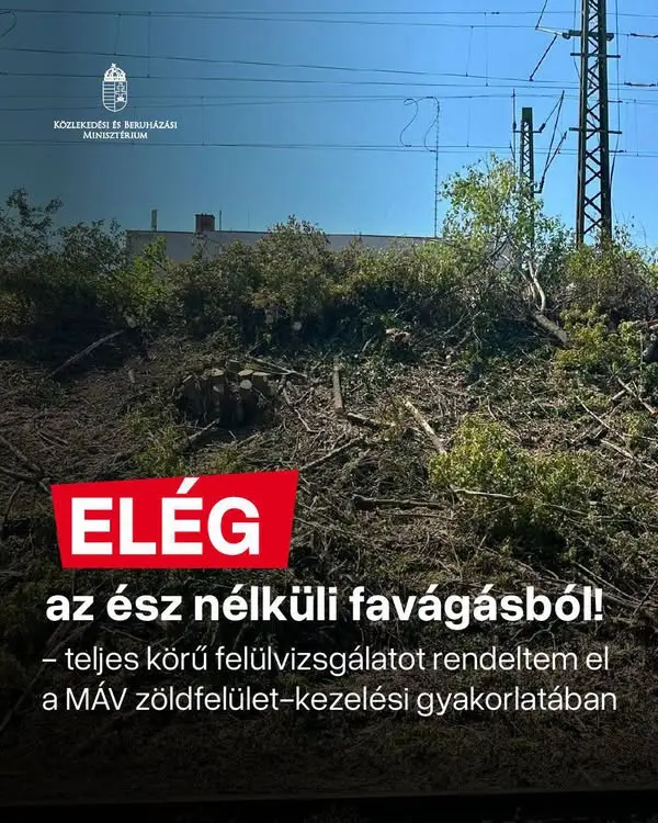 Főtájépítészt nevez ki a MÁV a zuglói fakivágások után