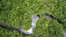 Tízéves mélyponton az Amazonas erdőirtása Brazíliában