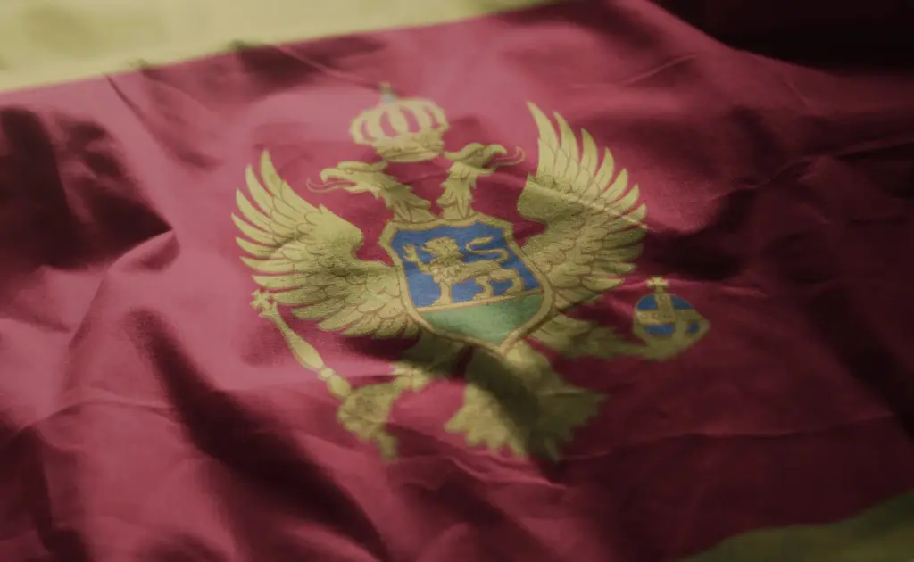 Montenegró cáfolja a katonai szövetséghez való csatlakozásáról szóló híreket