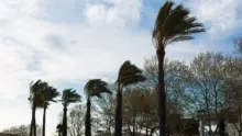 Rendkívüli állapot Hawaii szigetén: történelmi erejű hurrikán közeleg