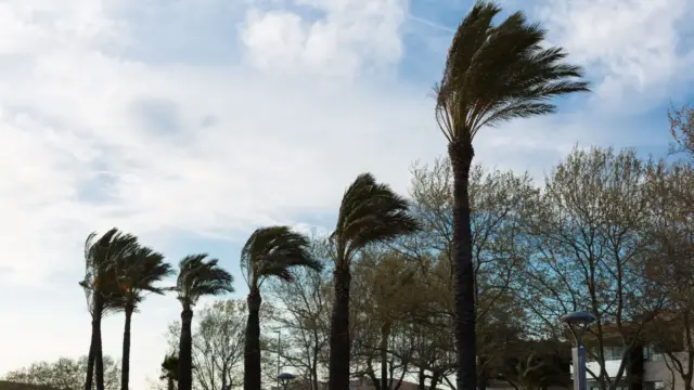 Rendkívüli állapot Hawaii szigetén: történelmi erejű hurrikán közeleg