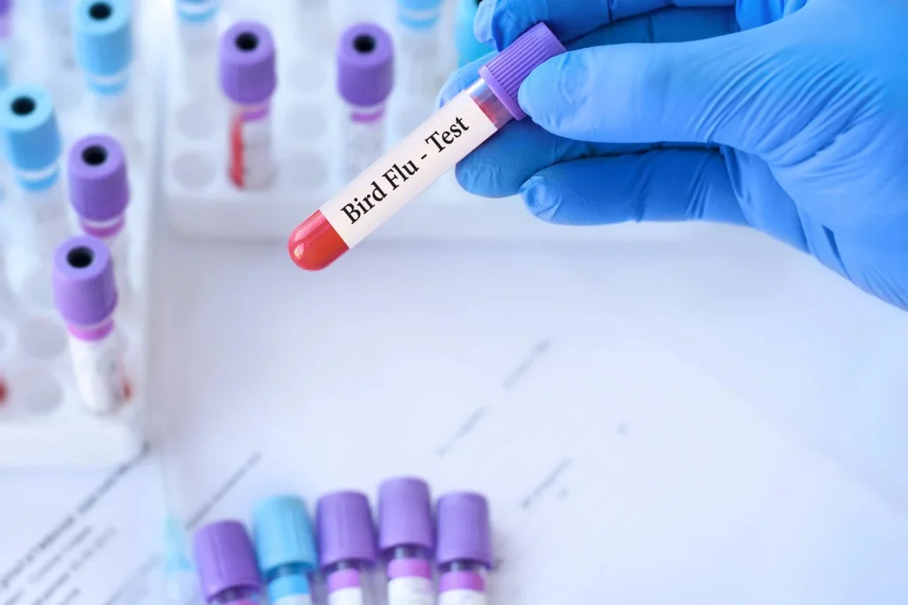 Ausztráliában az első emlősnél is kimutatták a H5N1 madárinfluenzát