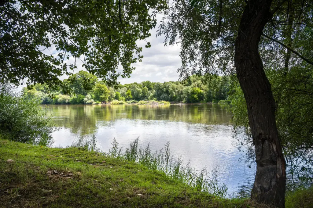 Történelmi mélyponton a Dráva vízszintje a tartós aszály miatt
