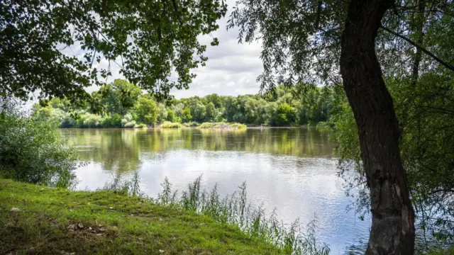Történelmi mélyponton a Dráva vízszintje a tartós aszály miatt
